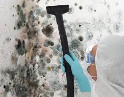 Best Black Mold Removal  in Tappan, NY